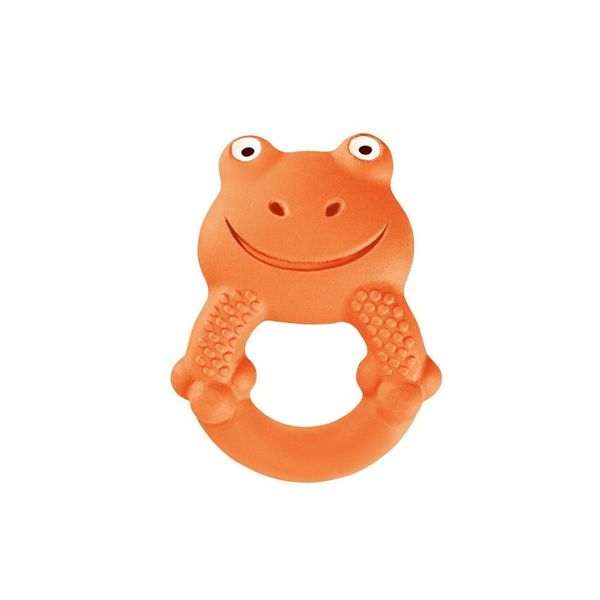 Dentaruolo max the frog - Mam