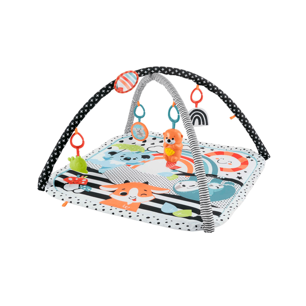 Fisher-price palestrina luci e suoni degli amici animali 3-in-1 - Fisher-price