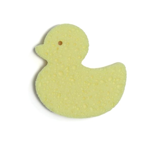 Spugna duck - thats' love - That's Love