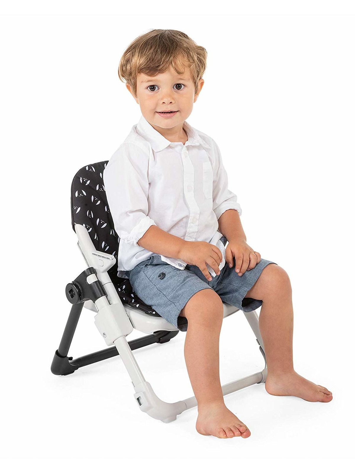 Rialzo sedia chairy sweetdog - Chicco