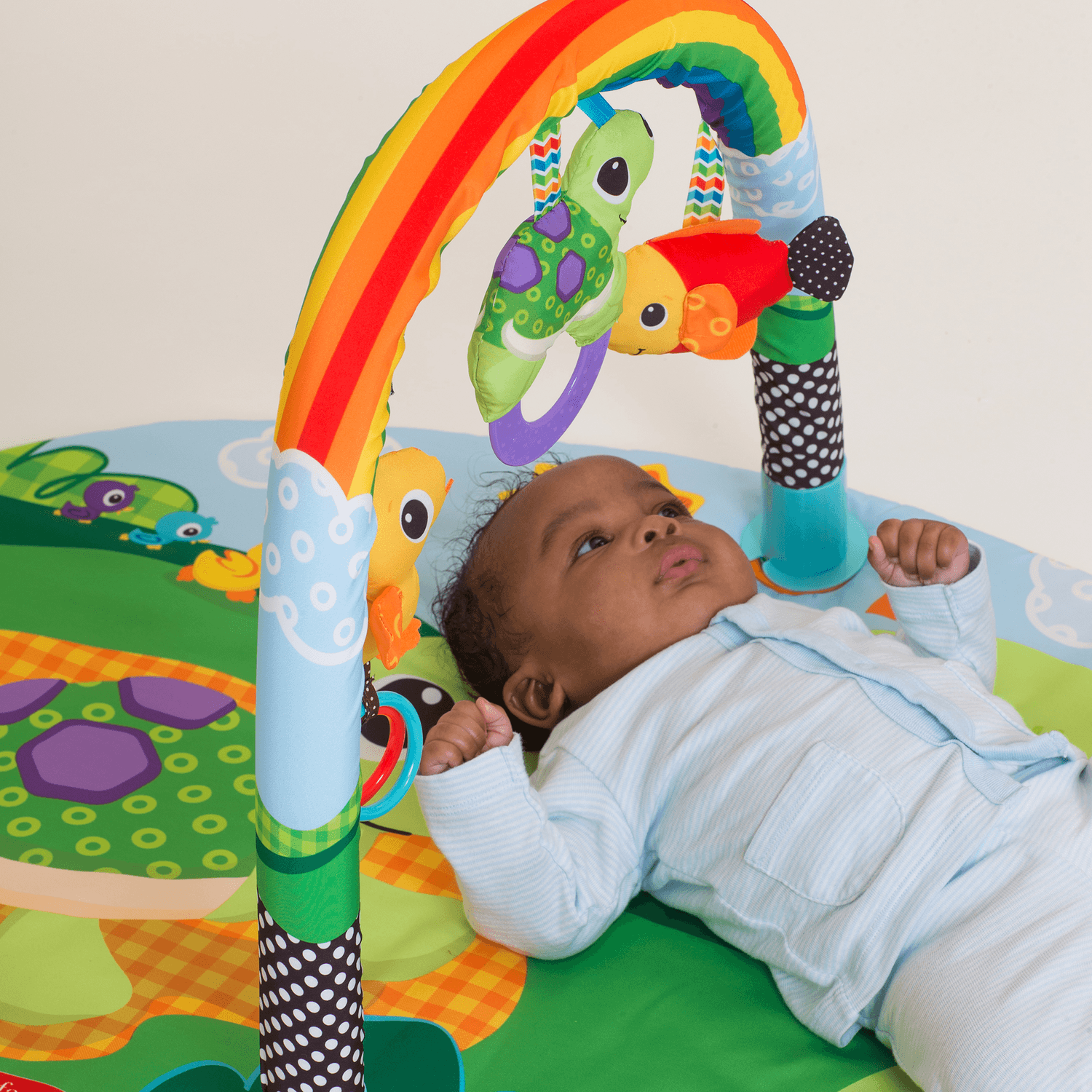 Palestrina - activity gym - gioco e crescita - Blue Box Infantino