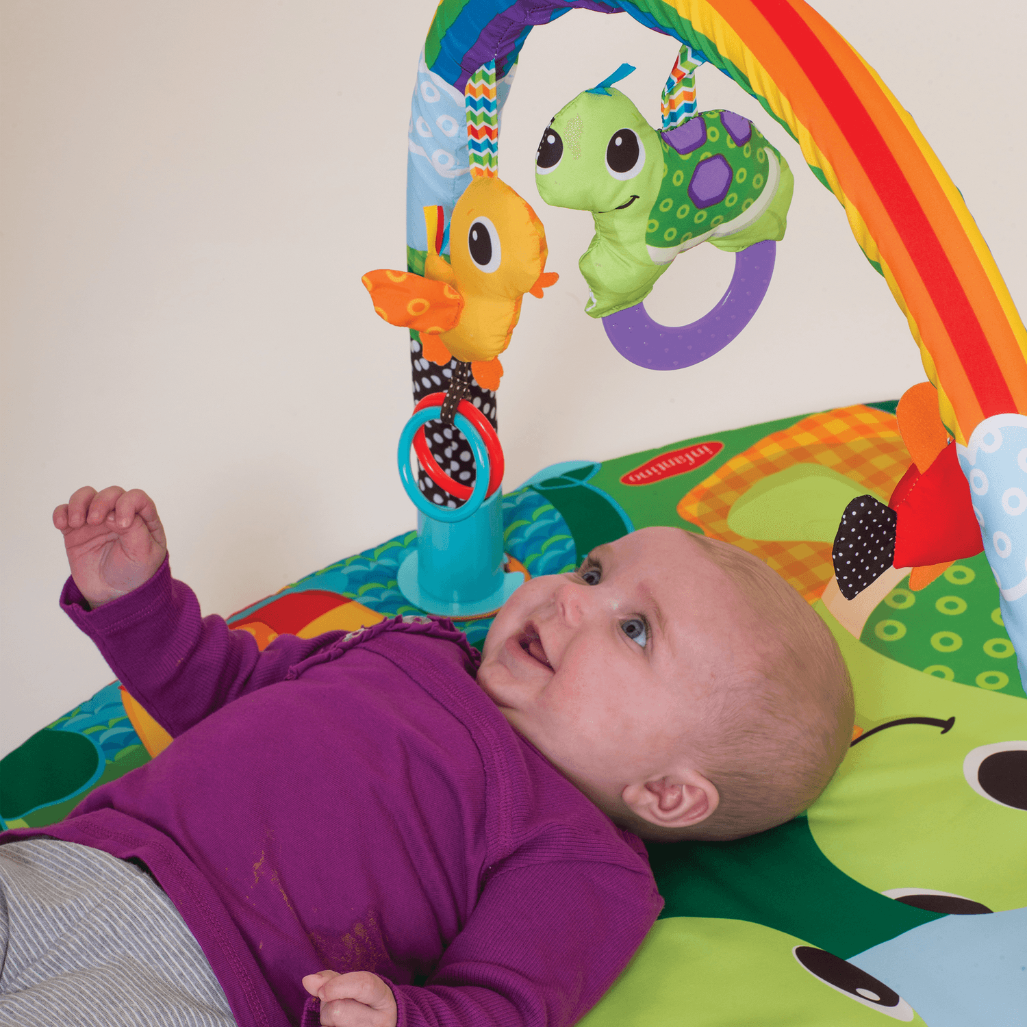 Palestrina - activity gym - gioco e crescita - Blue Box Infantino