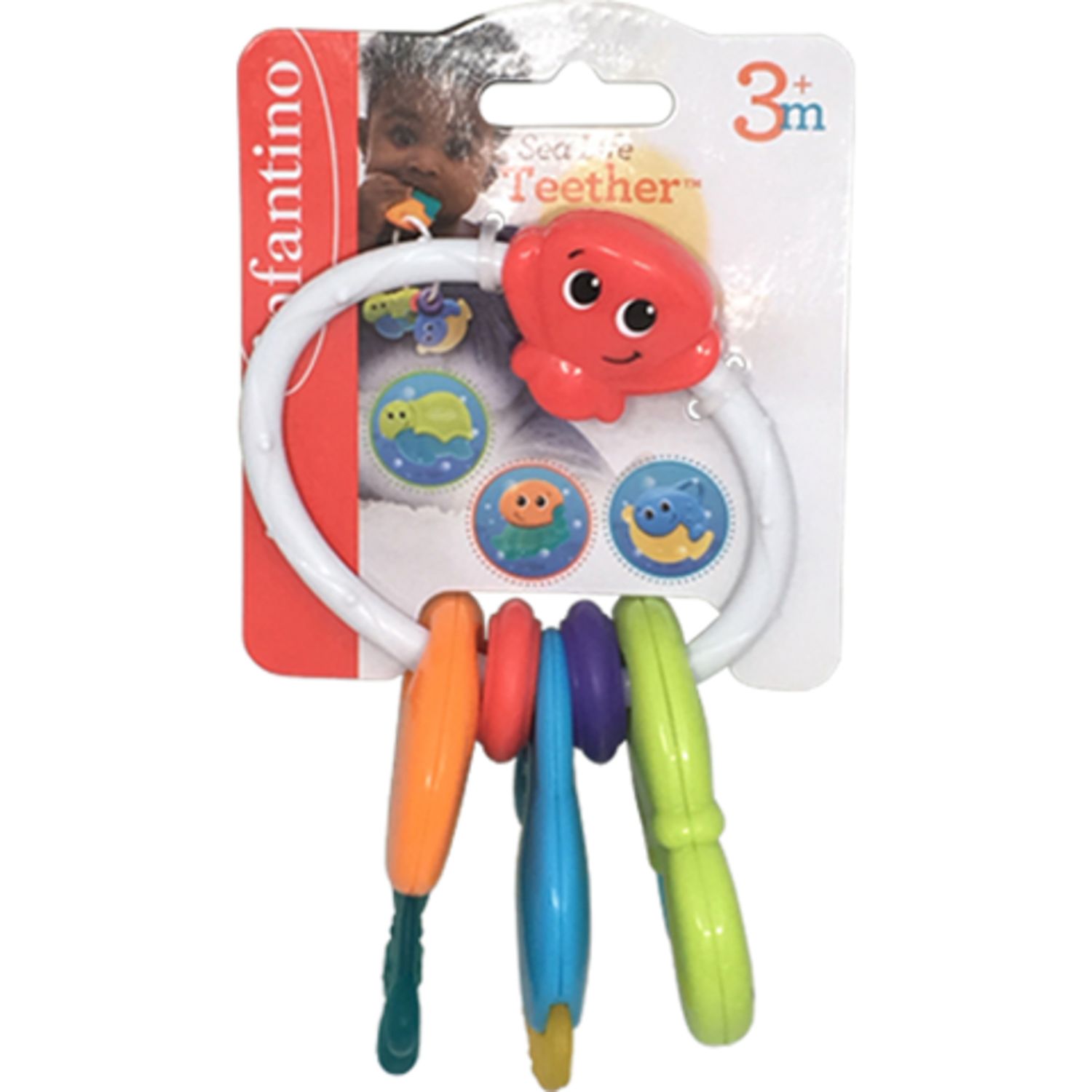 Dentaruolo - animali marini - infantino - Infantino