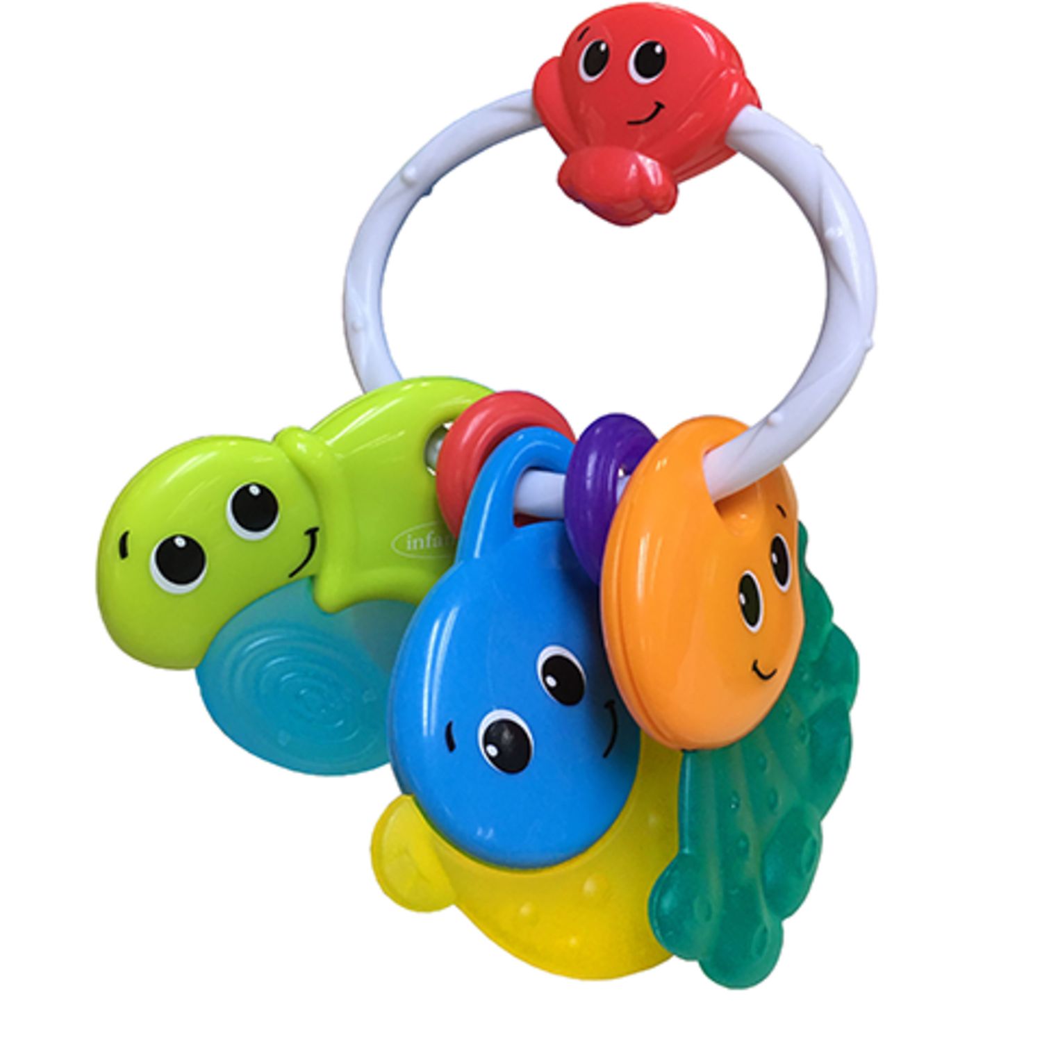 Dentaruolo - animali marini - infantino - Infantino