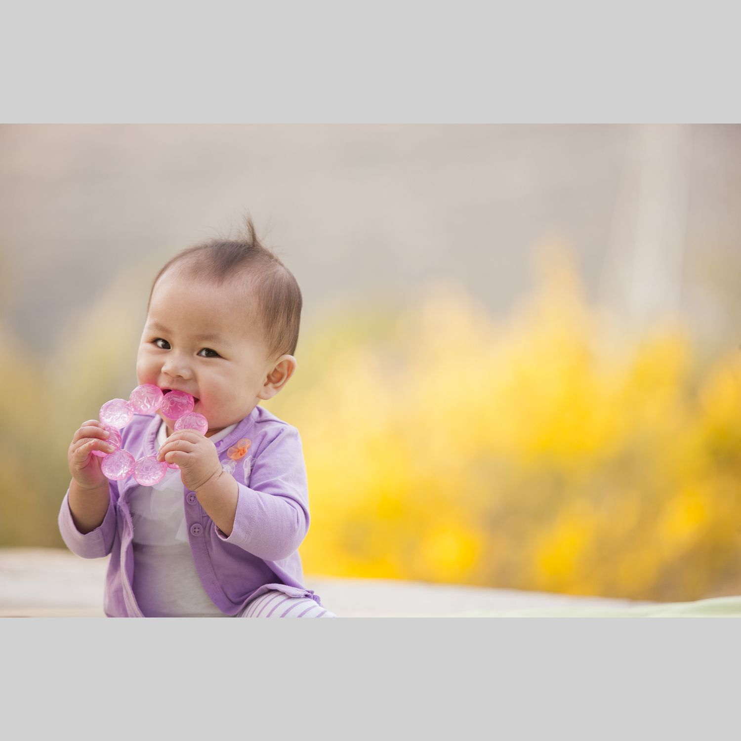 Dentaruolo rosa - infantino - Infantino