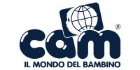 Cam