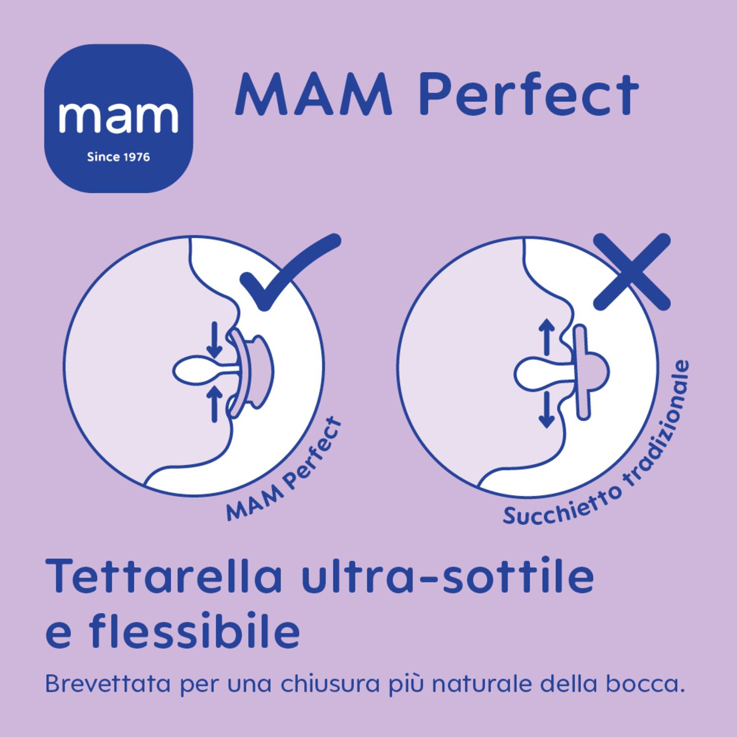 Combi pack succhietto perfect 2-6 mesi + clip it! colori assortiti - mam - Mam