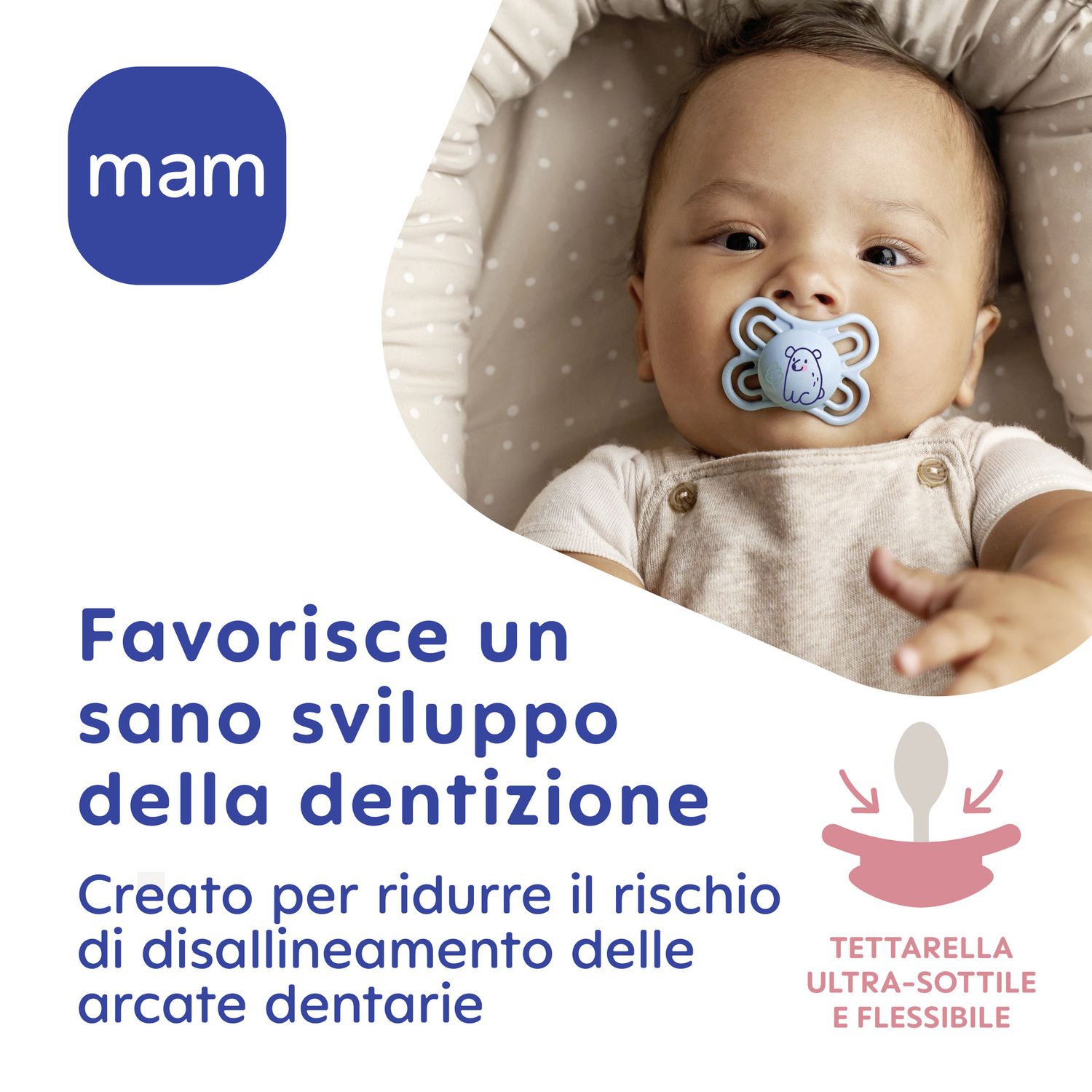 Succhietto perfect confezione doppia 6+ mesi - con porta ciuccio - azzurro - mam - Mam