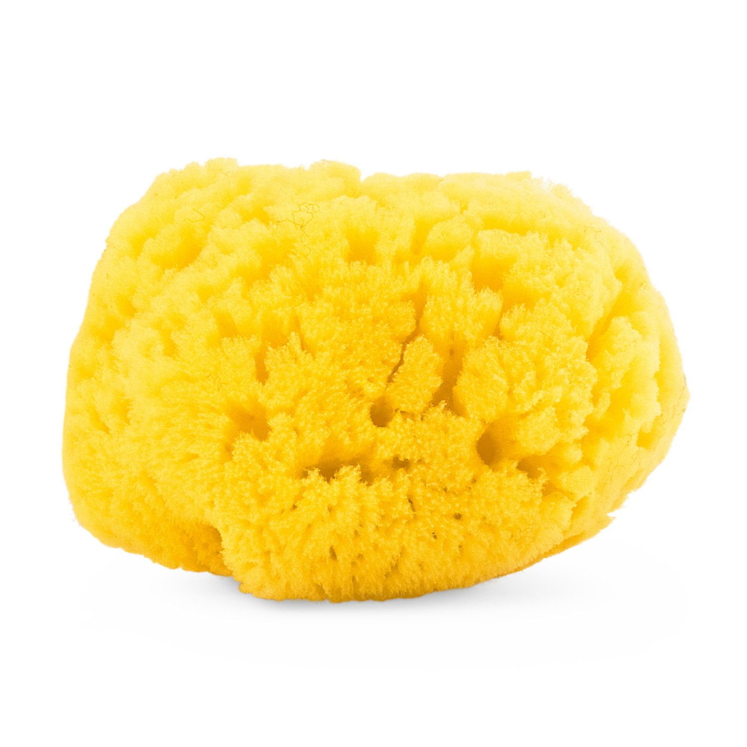 Spugna marina naturale - chicco - Chicco