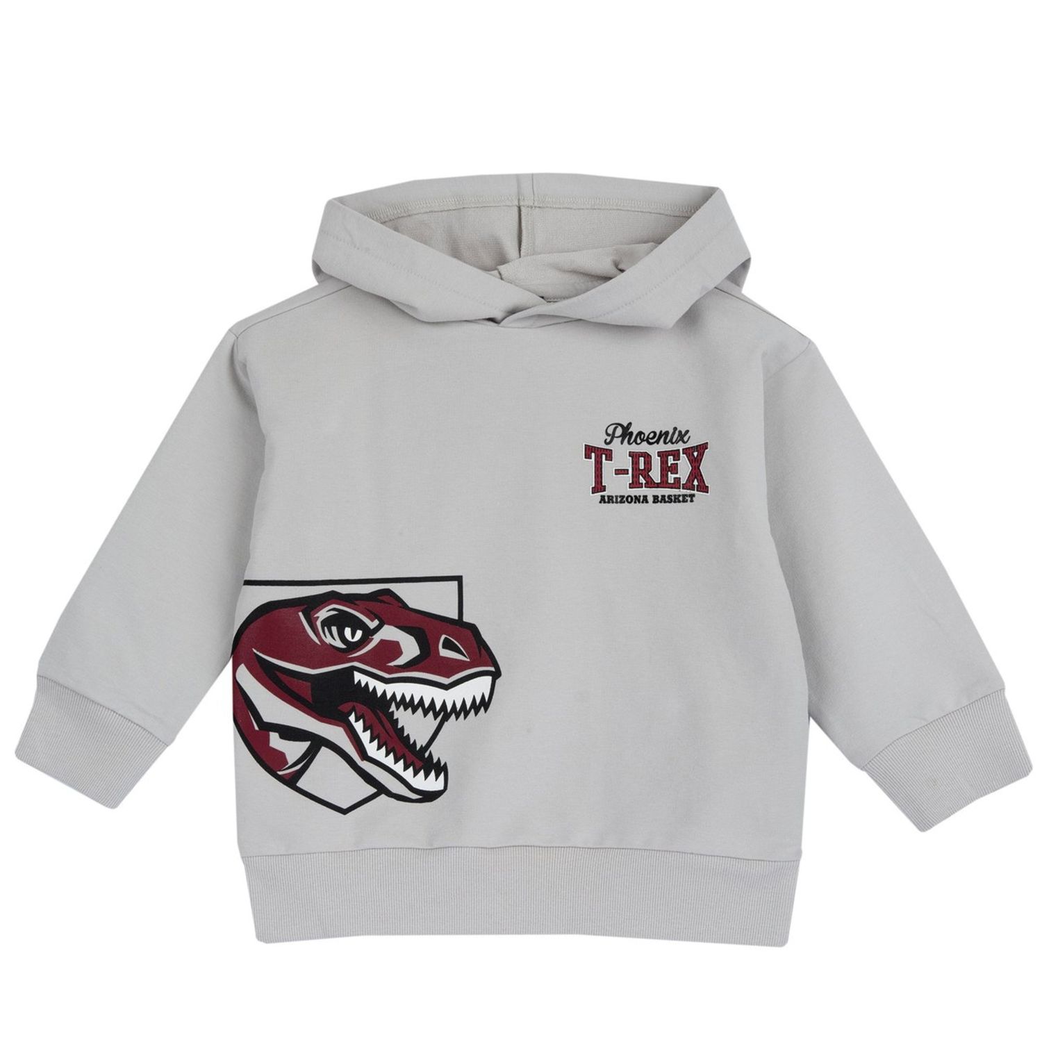 Maglia felpa con cappuccio st dino - chicco - Chicco