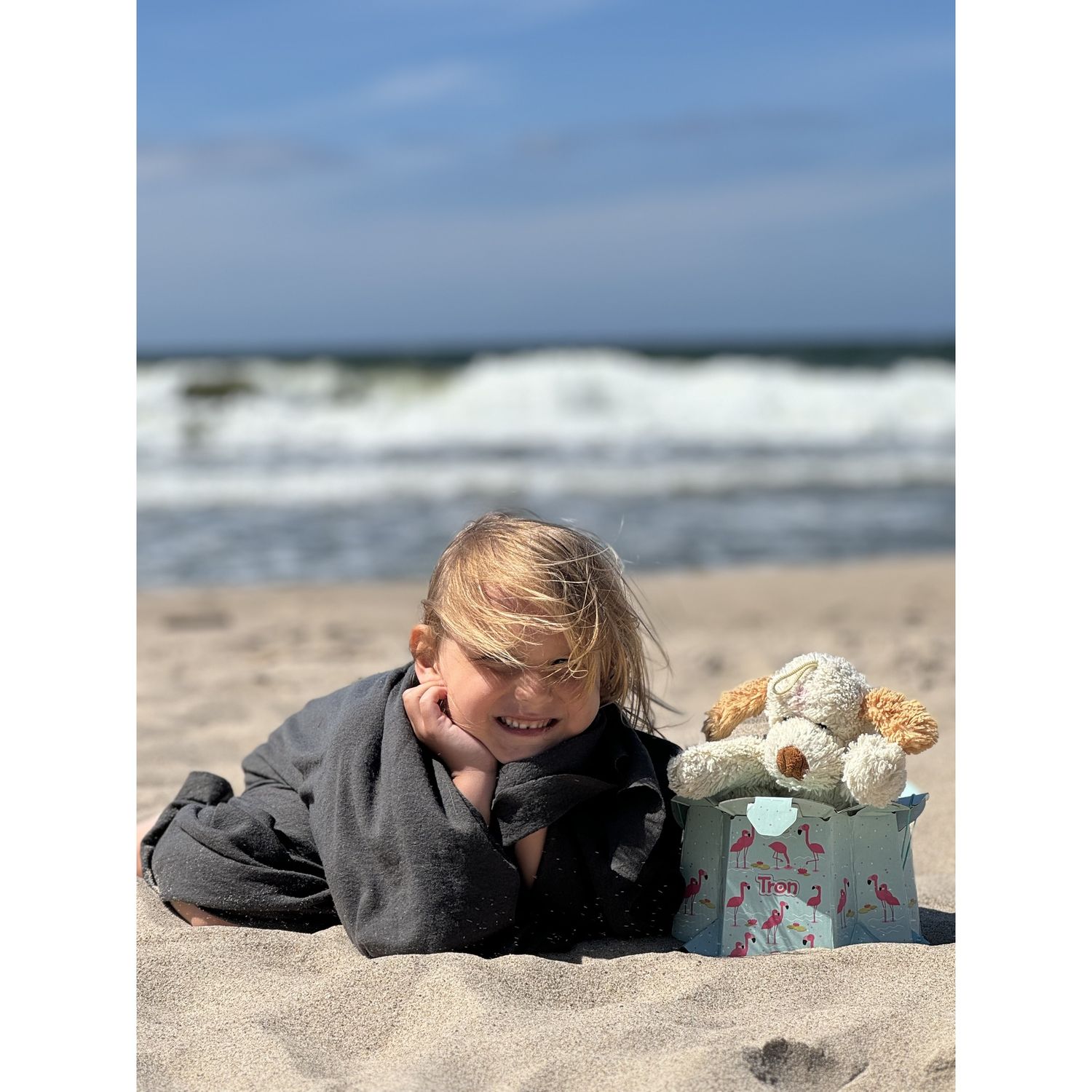 Vasino monouso fenicotteri - tron - Tron