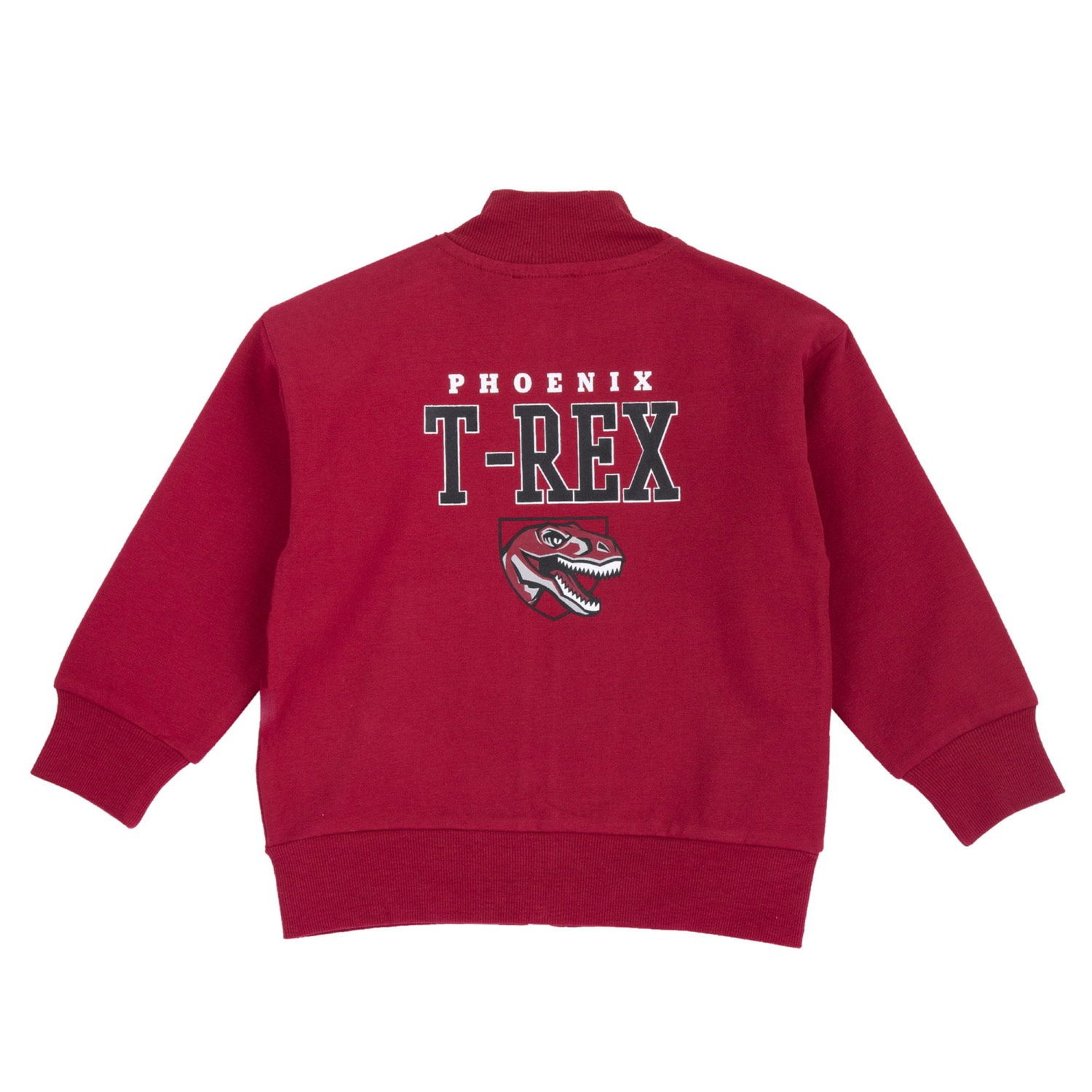 Felpa chicco con zip integrale phoenix t-rex per bambini - Chicco